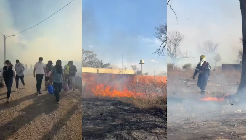 Incendios en Salta: Asistieron a 25 mascotas afectadas por el humo en San Luis y zona sur